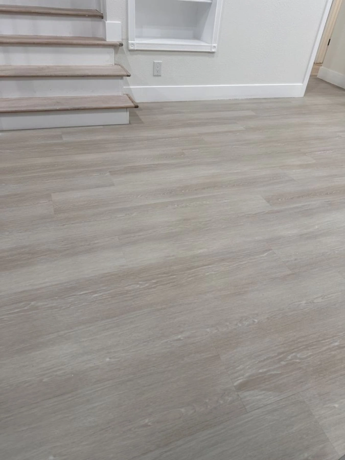 Professional Home Cleaning Services
